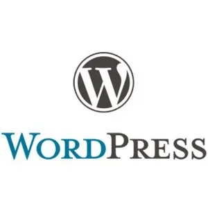 בניית אתר תדמית